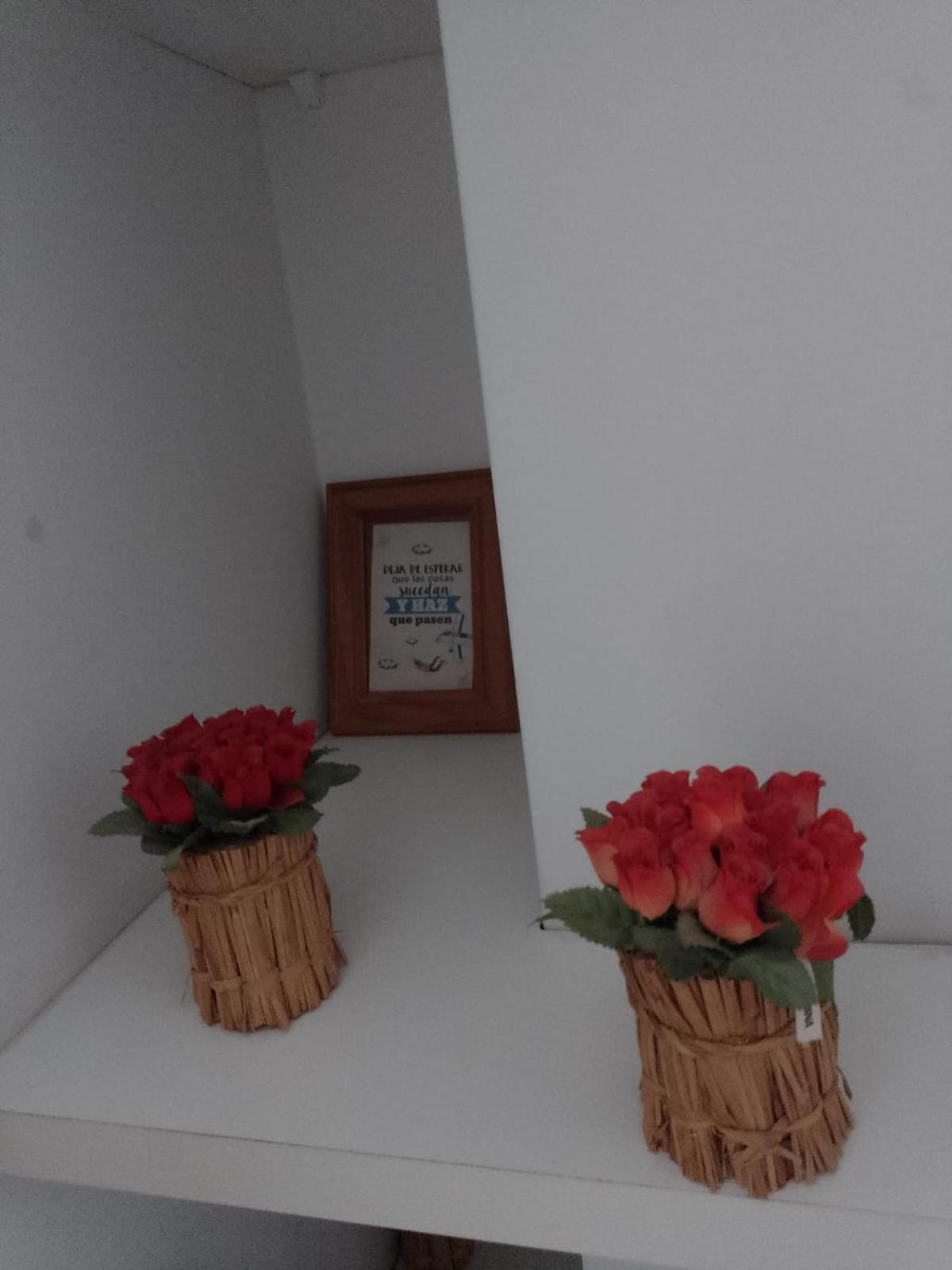 Appartement Relax En Palermo Con Gran Balcon Y Wifi 300Mb à Buenos Aires Extérieur photo